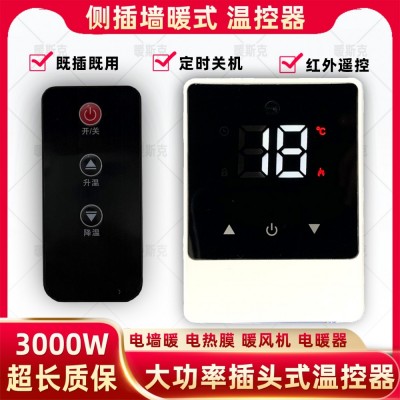 側插式